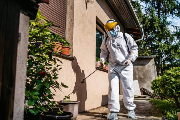 Reliable Shady Point, OK Pest Control Solutions