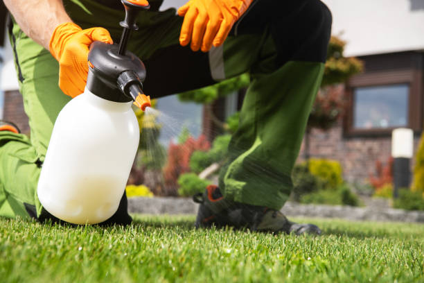 Best Best Pest Control Companies  in Shady Point, OK