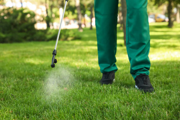 Best Emergency Pest Control  in Shady Point, OK