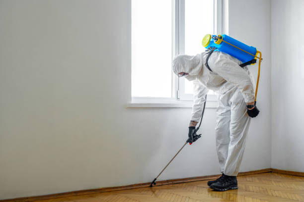 Best Pest Control Near Me  in Shady Point, OK