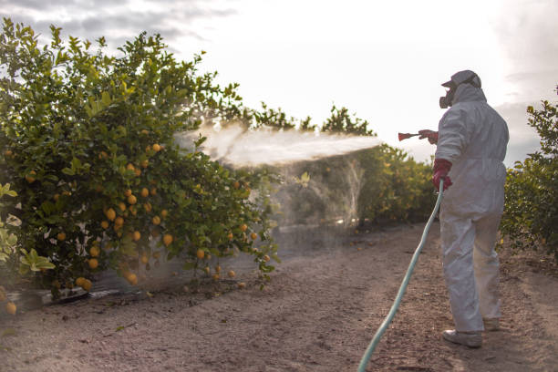 Shady Point, OK Pest Control Company