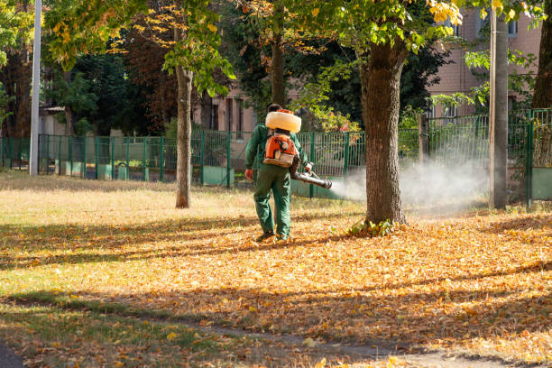 Best Termite Control Services  in Shady Point, OK