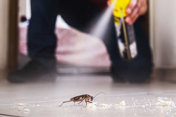 Best Pest Inspection Near Me  in Shady Point, OK