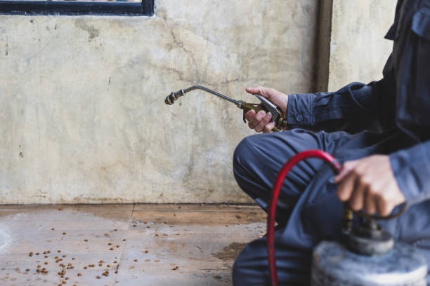 Pest Control for Restaurants in Shady Point, OK